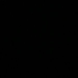 Meet your Posher, Malika